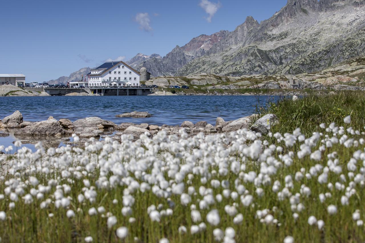 Hotel Grimsel Passhoehe Oberwald Ngoại thất bức ảnh